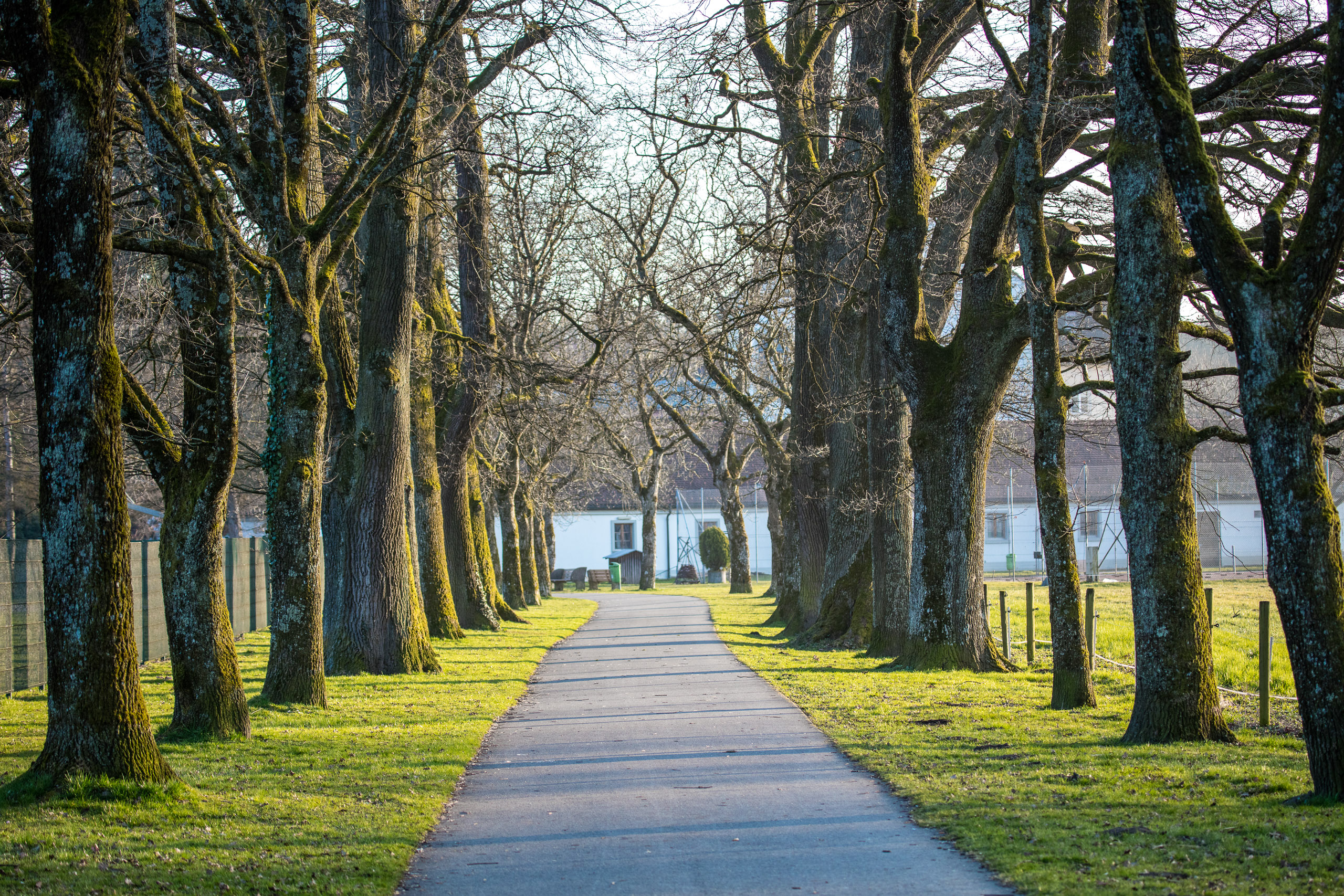 20160319174630 DP017865